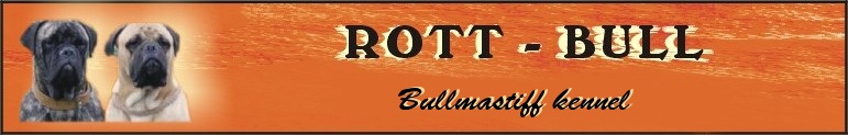 Main page