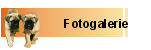 Fotogalerie